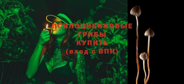 таблы Инсар