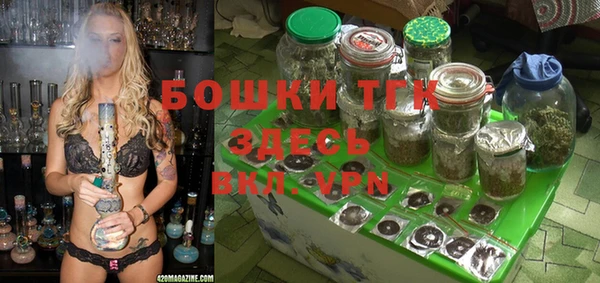 таблы Инсар