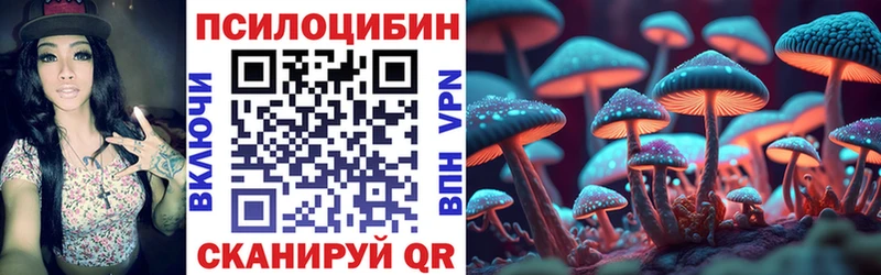 Галлюциногенные грибы Psilocybe  мега   Лысьва 